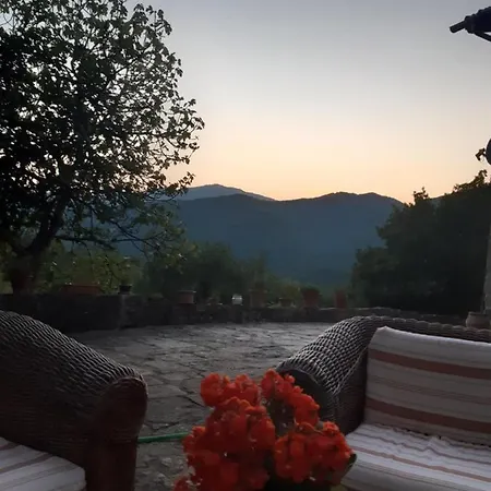 Country Turicchi Londa