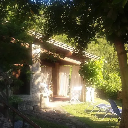 Country Turicchi Londa