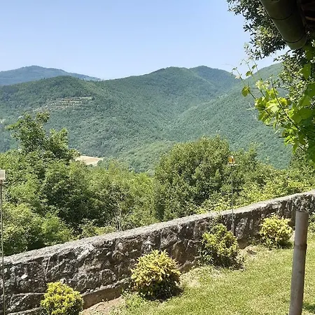 Country Turicchi *